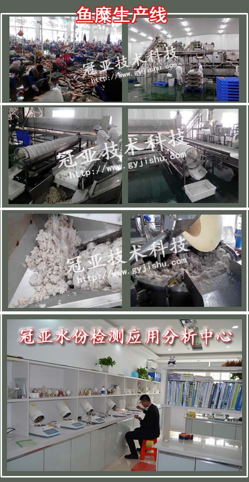 水产鱼糜水份检测仪
