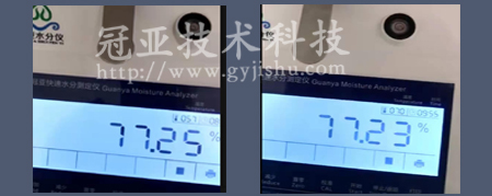 鱼糜水份检测仪