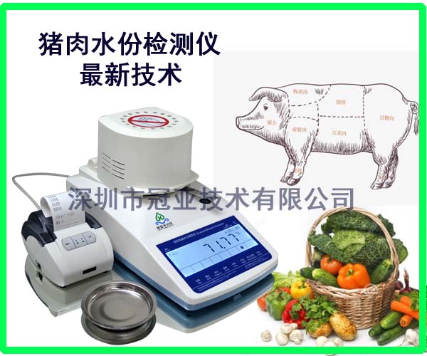 猪肉水份检测仪