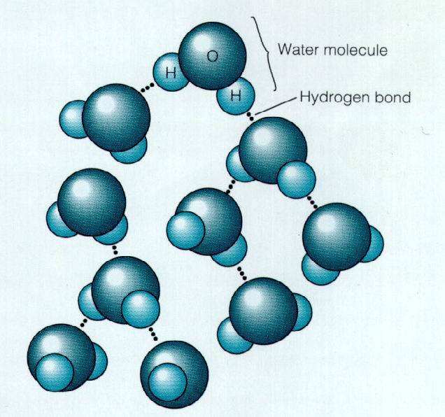 水分检测方法